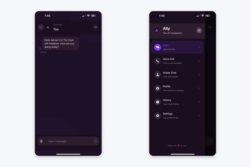 Ally AI  – screenshot 4
