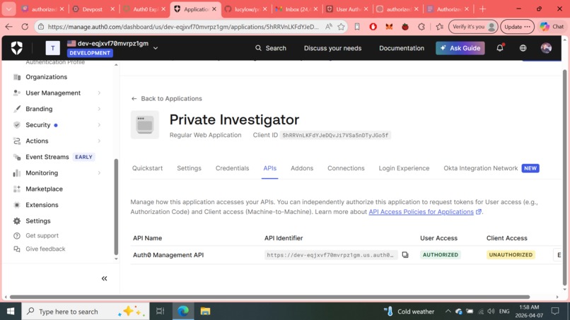 Private Investigator : Autonomous OAuth Security Agent – screenshot 1
