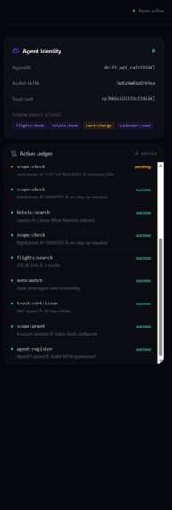 Drift - Agent Identity & Authorization Platform – screenshot 5