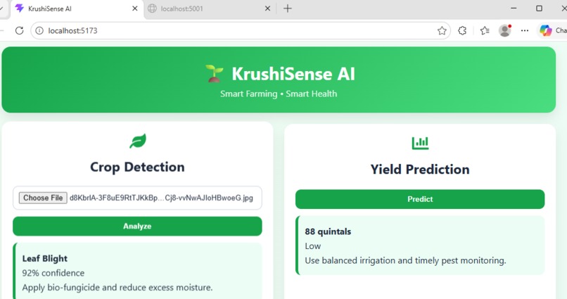 KRUSHISENSE-AI – screenshot 2