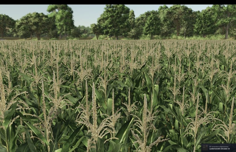 Evaluation is all you need – screenshot 2