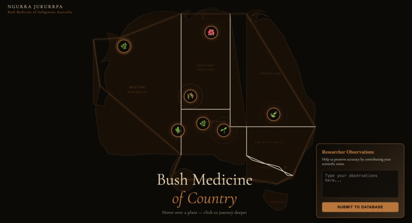 Ngurra Jukurrpa - Bush Medicine – screenshot 1