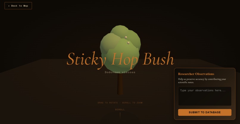 Ngurra Jukurrpa - Bush Medicine – screenshot 2
