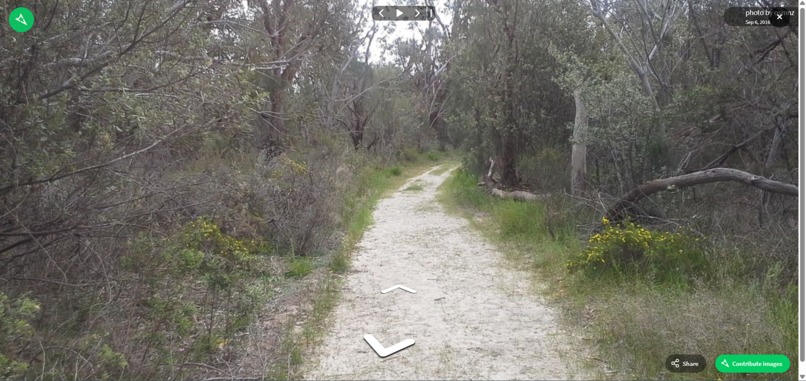 Memory Palace – screenshot 4