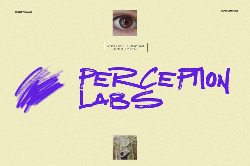 Perception Labs – screenshot 1