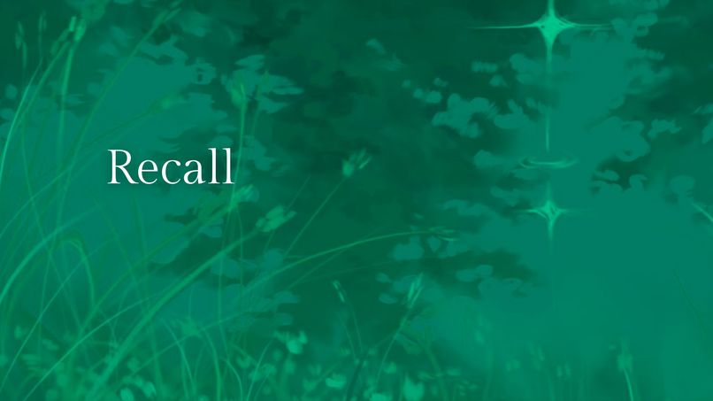 Recall – screenshot 1