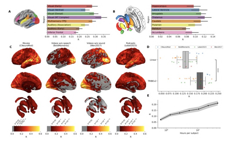 Percepta – screenshot 5
