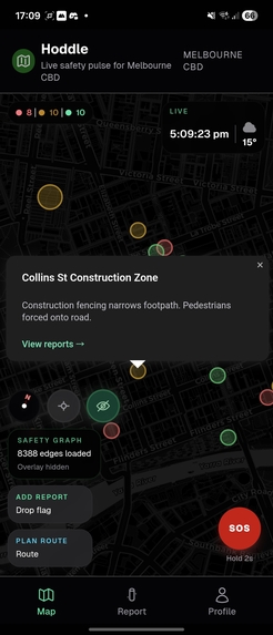 Hoddle – screenshot 8