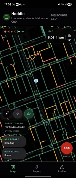 Hoddle – screenshot 4