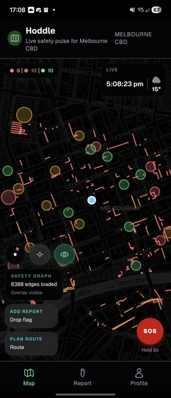 Hoddle – screenshot 2