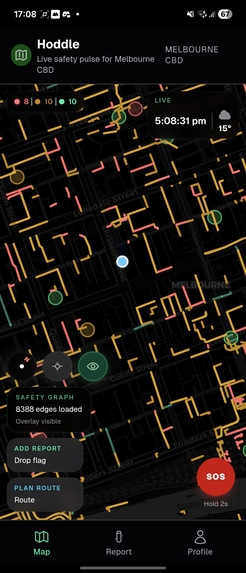 Hoddle – screenshot 3