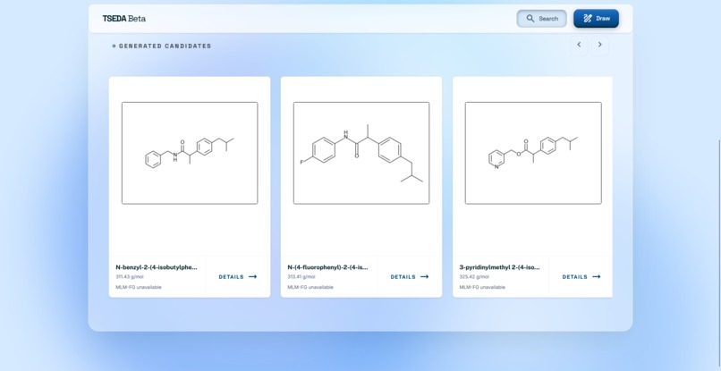 Tseda – screenshot 3