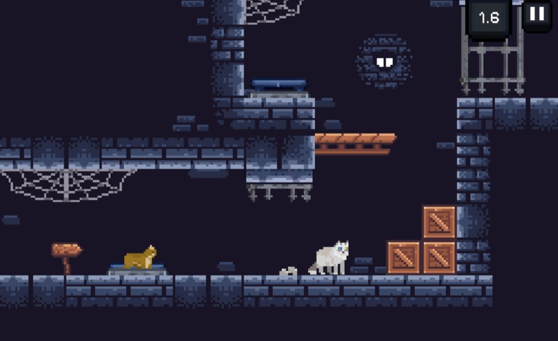 Thats My Echo – screenshot 2