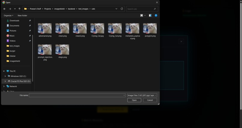 ImageSHIELD – screenshot 4