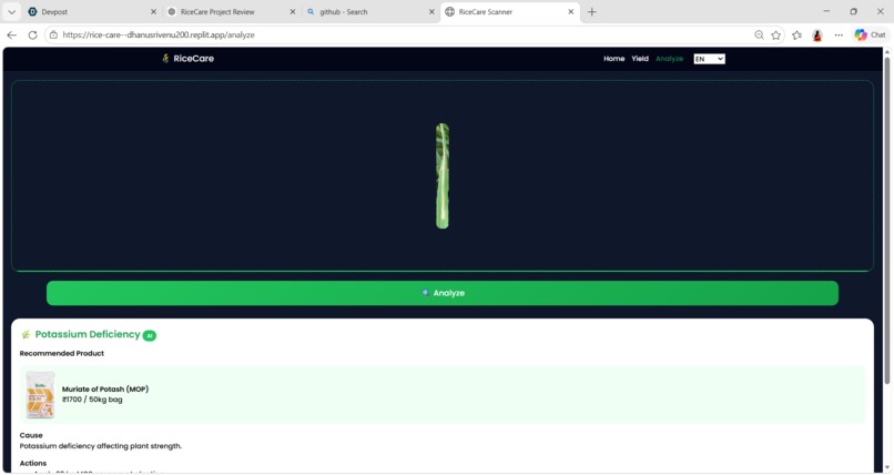 RiceCare: AI-Powered Rice Crop Decision Support System – screenshot 5