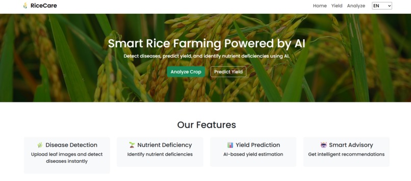 RiceCare: AI-Powered Rice Crop Decision Support System – screenshot 2