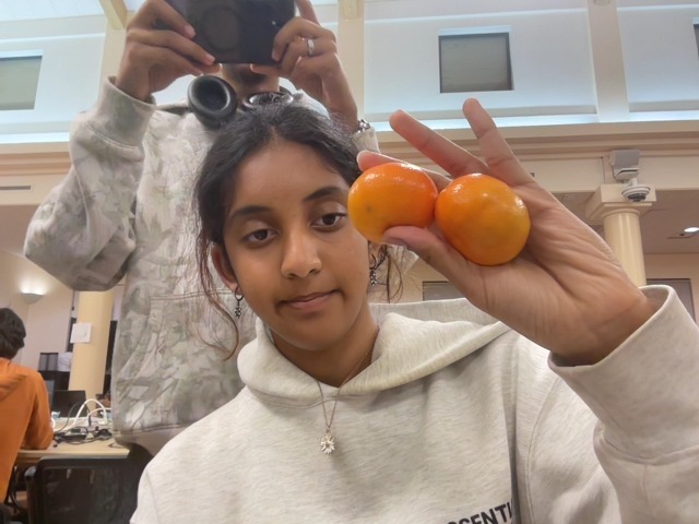 MealMate – screenshot 2