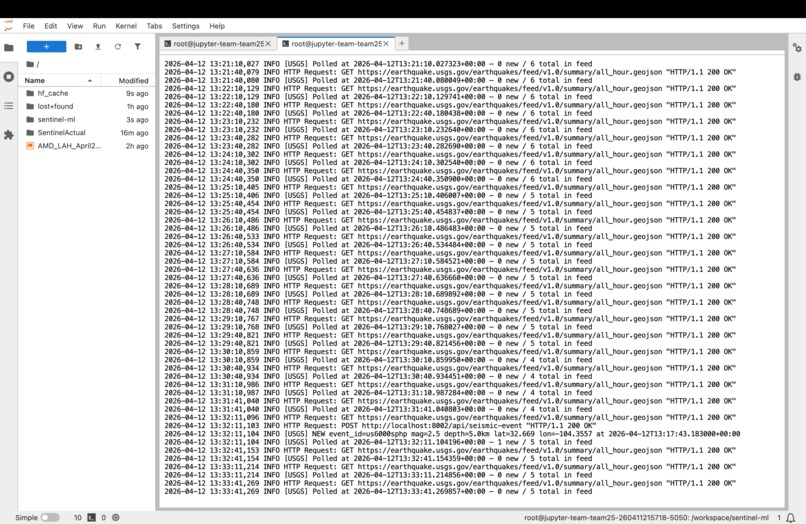 Sentinel – screenshot 3