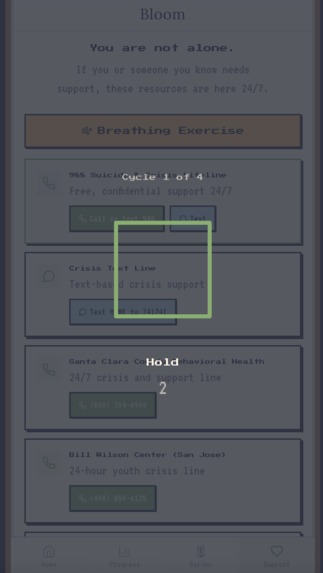 BetterFly – screenshot 4