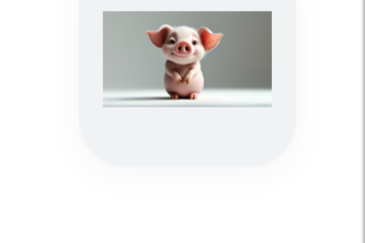 Piggy Focus Timer