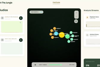 Rumble In The Jungle