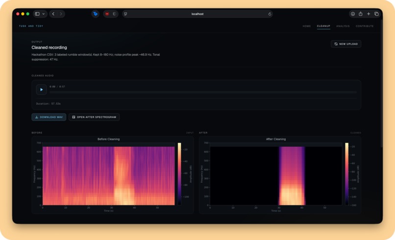 Tusk 'n Tidy – screenshot 2