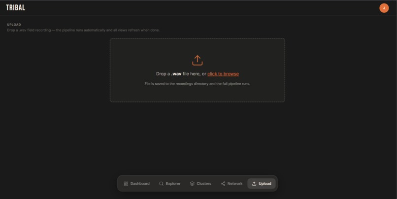 Tribal – screenshot 2