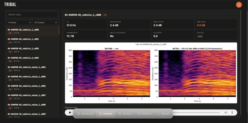 Tribal – screenshot 4