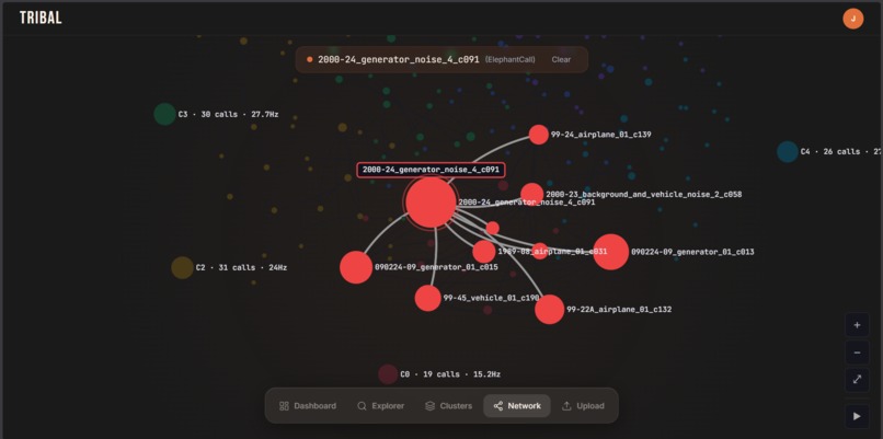 Tribal – screenshot 6