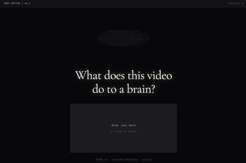 Grey Matter – screenshot 1