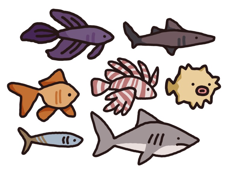 aQuerium – screenshot 2