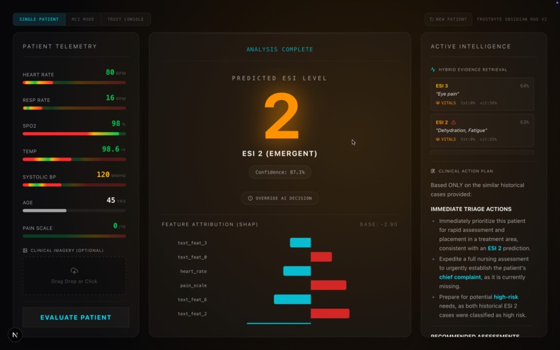 Multimodal AI Triage Assistant – screenshot 1