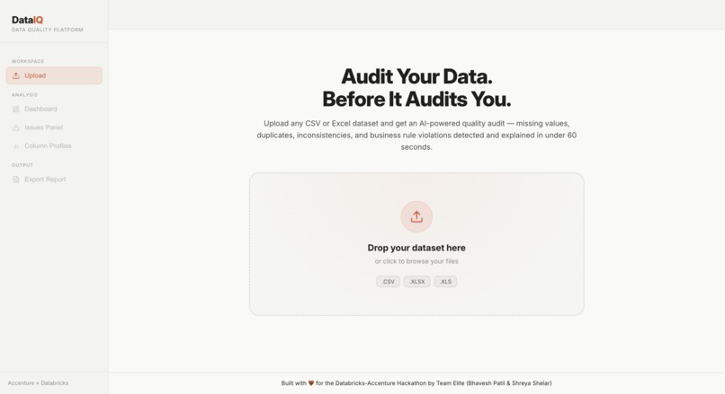 DataIQ - Data Quality AI – screenshot 1