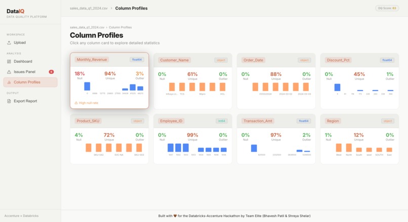 DataIQ - Data Quality AI – screenshot 4