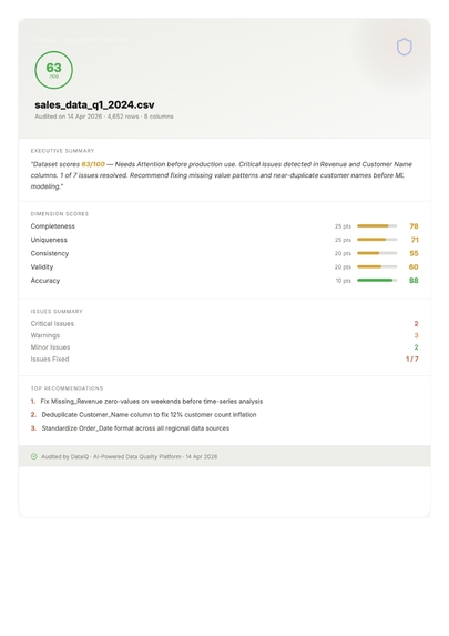 DataIQ - Data Quality AI – screenshot 6