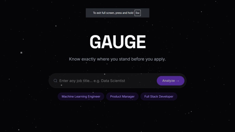 GAUGE – screenshot 1