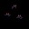 ENDLESS – screenshot 9