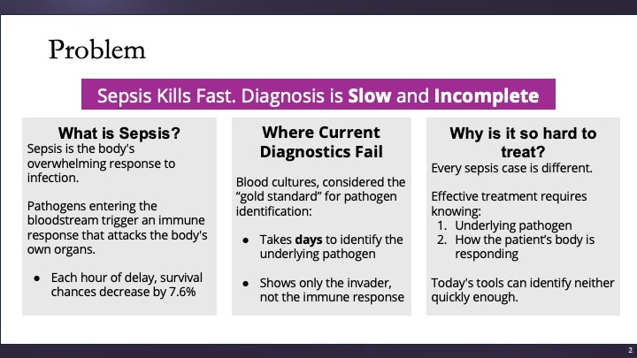 Team 17 - Xgome – screenshot 2