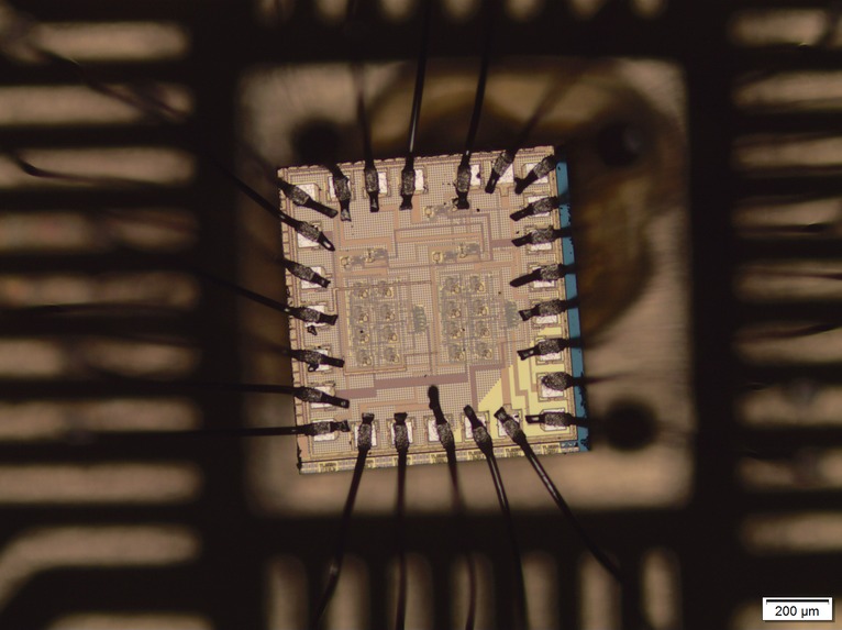 CrissCross – screenshot 2