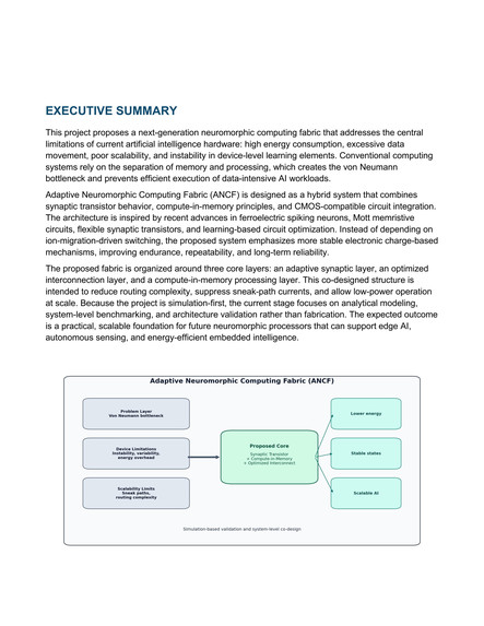Adaptive Neuromorphic Computing Fabric (ANCF) – screenshot 3