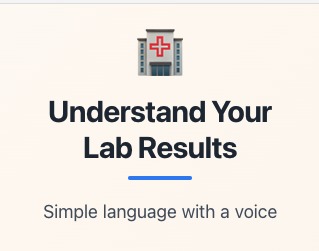 Voice Lab – screenshot 2