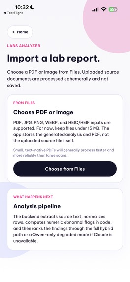 Elfie Scribe – screenshot 9