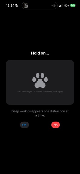 FocusLock – screenshot 2