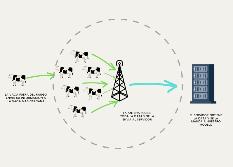 Safe Moovment – screenshot 3