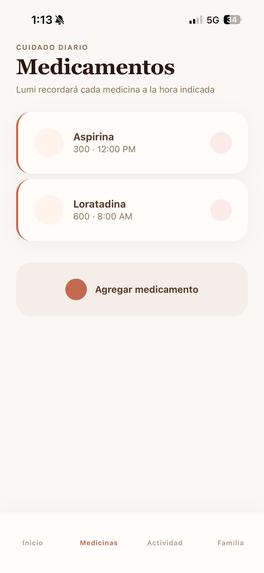 Lumi Companion AI  – screenshot 4