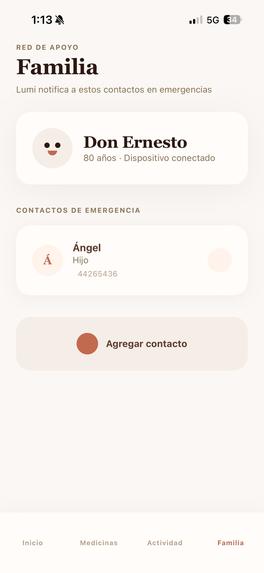 Lumi Companion AI  – screenshot 3