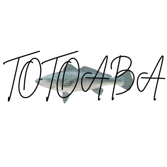 Totoabas – screenshot 7