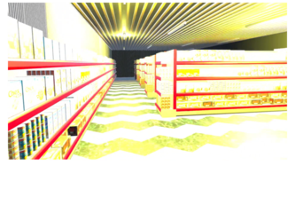 The Sensory Bridge
