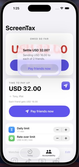 Screen Tax – screenshot 8