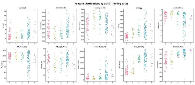 Oezys – screenshot 2